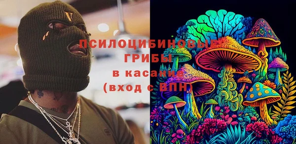 ECSTASY Каменск-Шахтинский