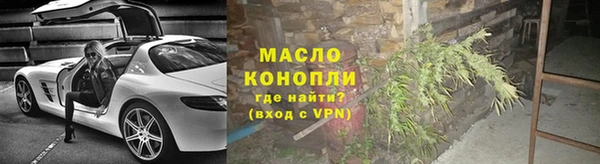 дмт Каменка