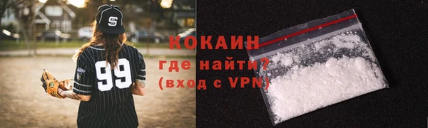 дмт Каменка