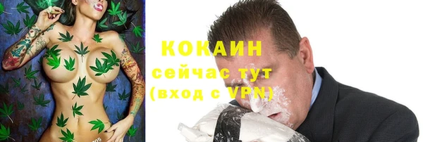 ALPHA-PVP Инсар