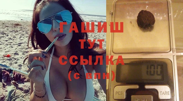 дмт Каменка