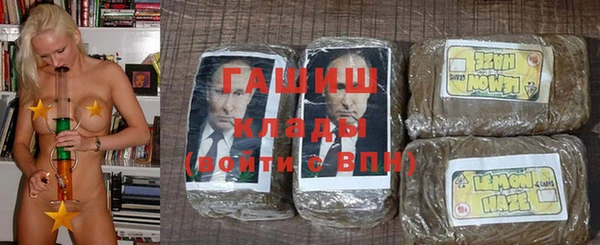 дмт Каменка