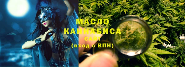 дмт Каменка