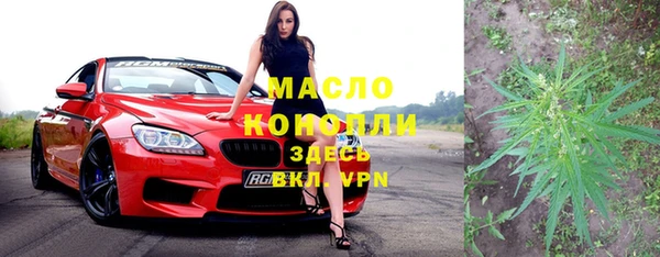 дмт Каменка