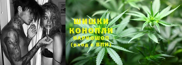 дмт Каменка