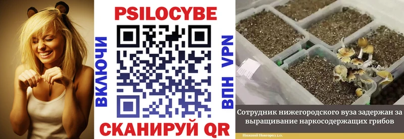 площадка какой сайт  где можно купить   Красновишерск  Псилоцибиновые грибы мухоморы 